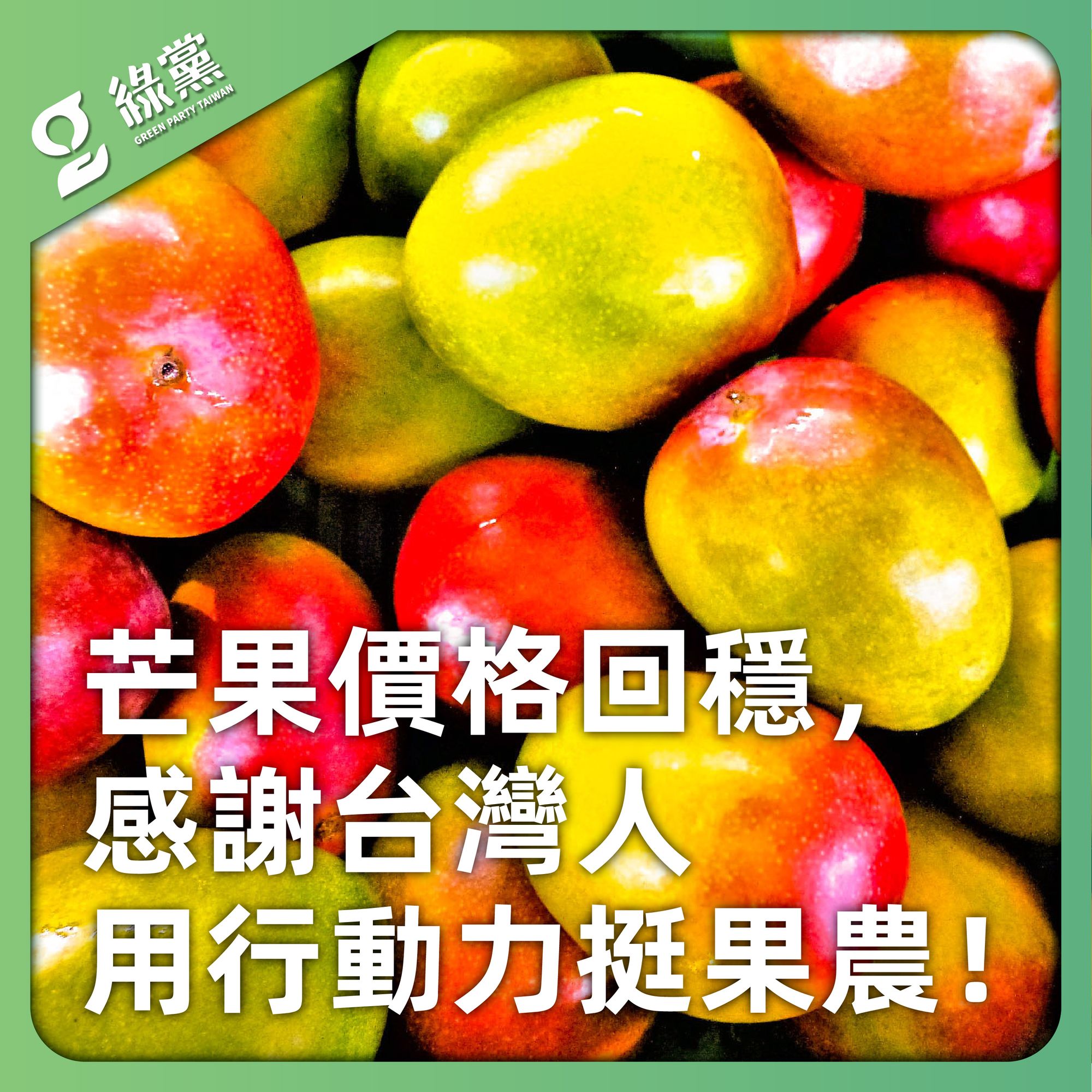 【芒果價格回穩，感謝台灣人用行動力挺果農！】
